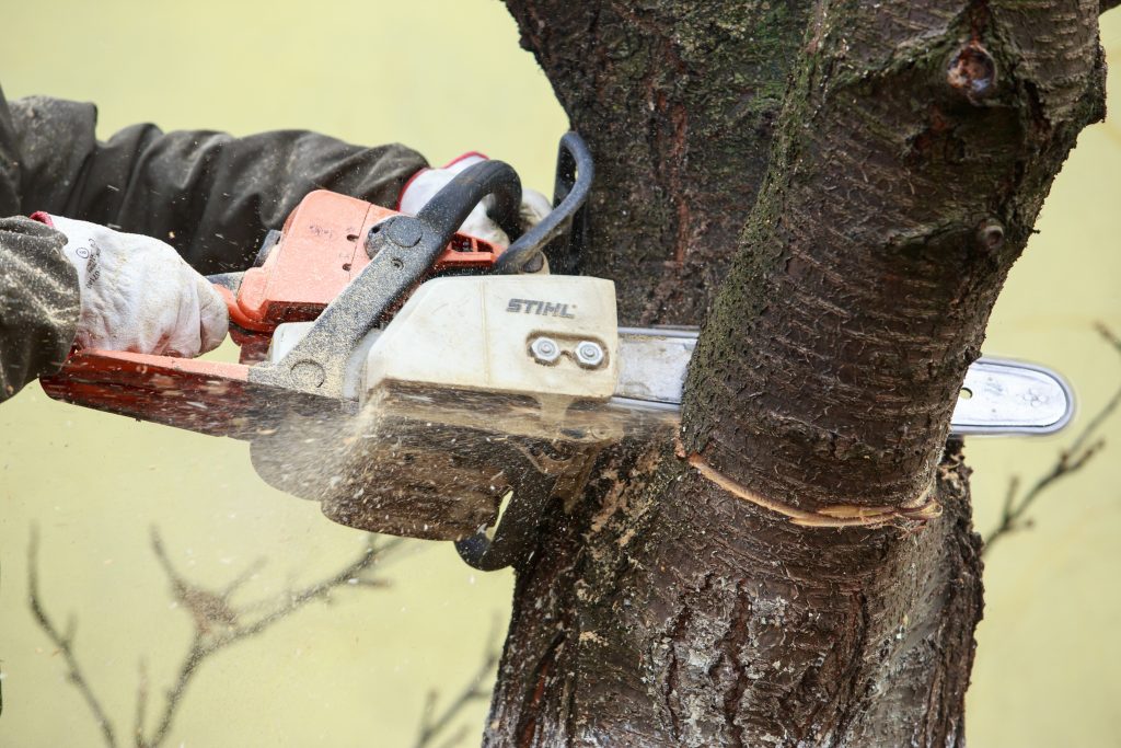 Chainsaw Hands 1024x683